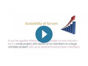 Scrum Aspect: Organization