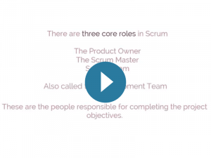 Scrum certification: Scrum roles