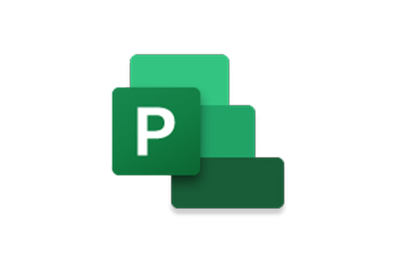 Microsoft Partner Project Logo
