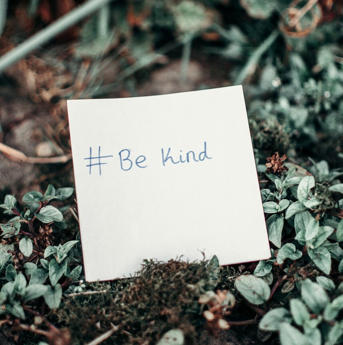 Kindness in the Workplace